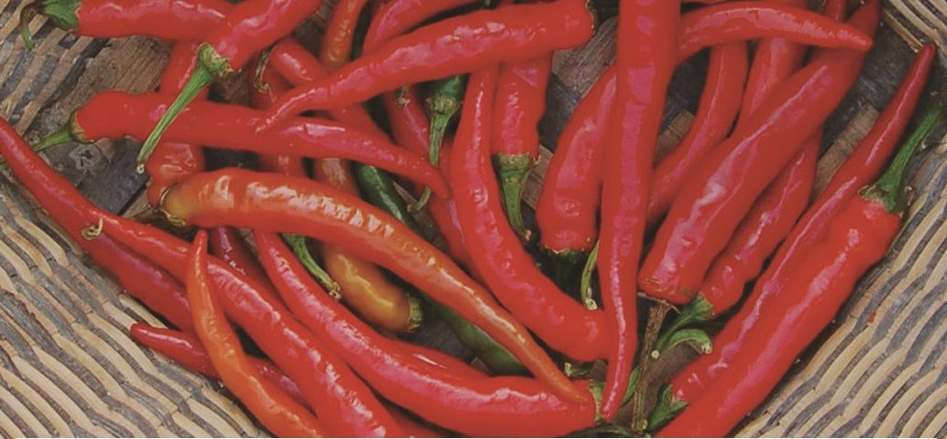 Ring-O-Fire Hot Pepper