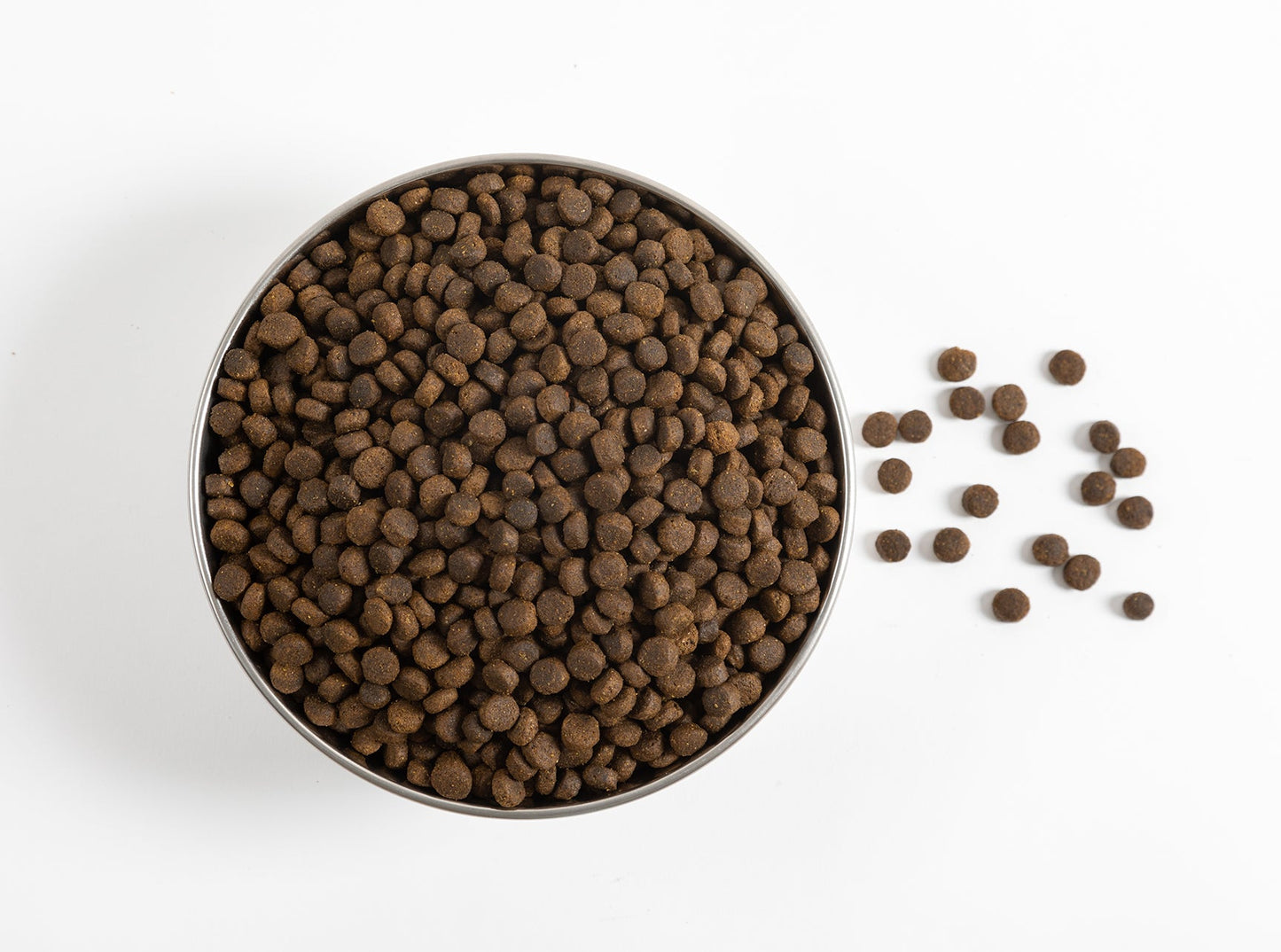 Fresh Ocean Fish Dog Food - 15lb Bag