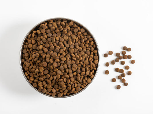 Turkey Recipe Dog Food - 15lb Bag