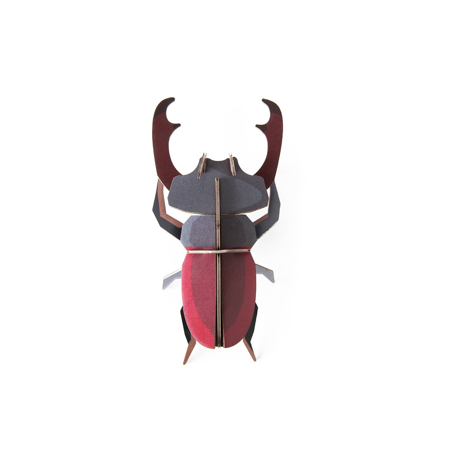 Stag Beetle