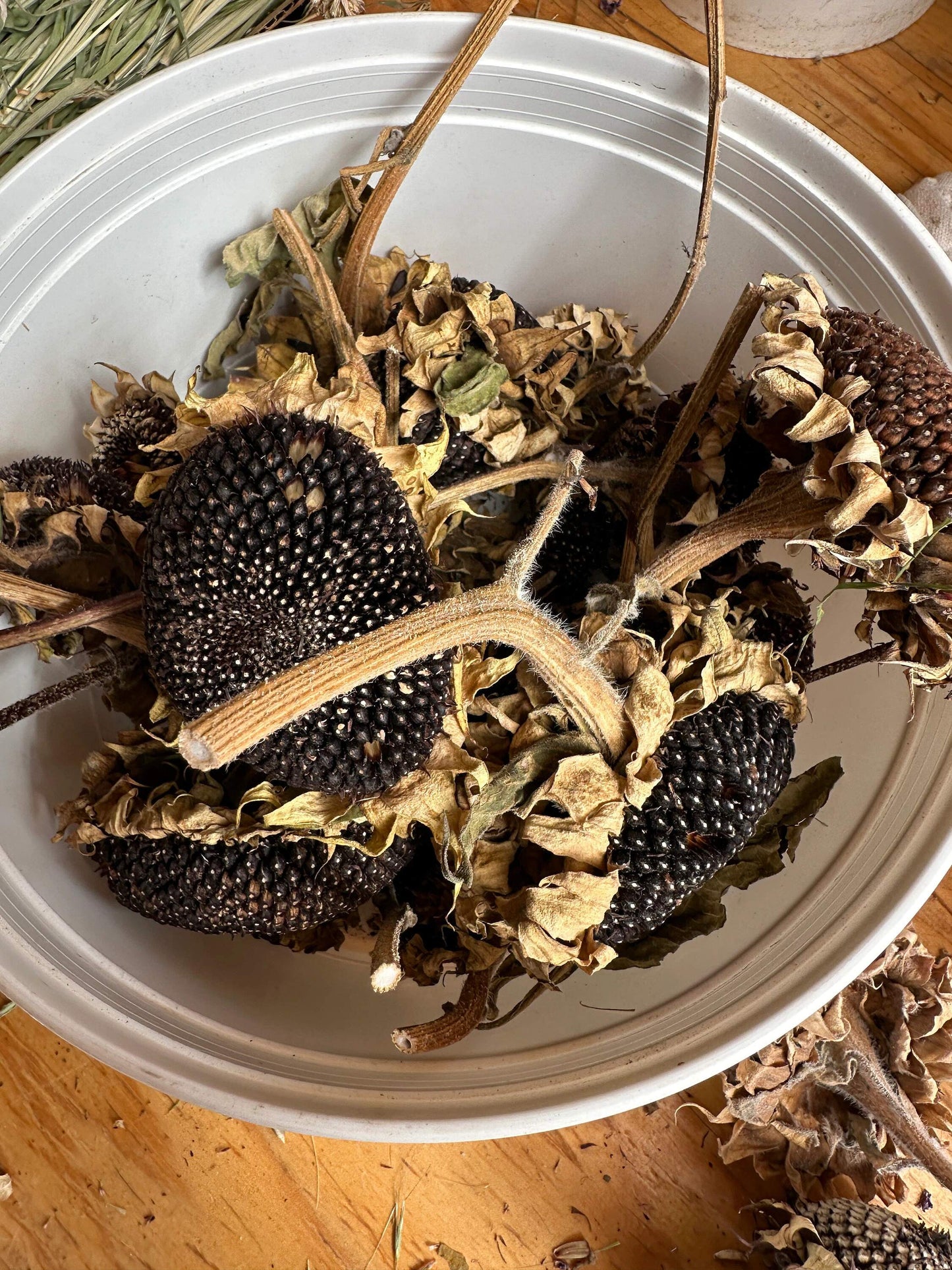 Scrunchy Sunflower Heads