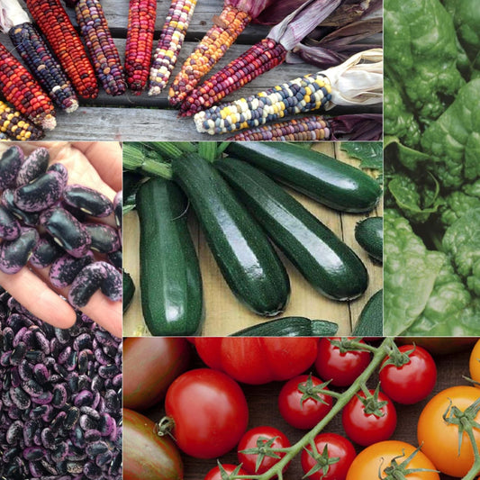 The Veggie Garden Collection