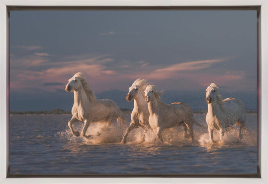 Wall art Angels of Camargue. Horses