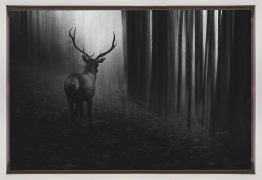 Wall art Stag. Deer