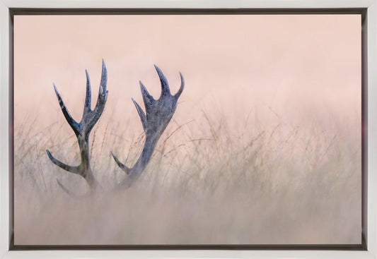 Wall art Hide & Seek ( Horn of Stag)