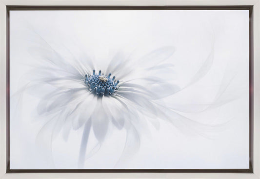 Wall art Serenity. Floral