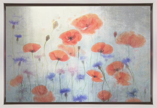 Wall Art Poppy
