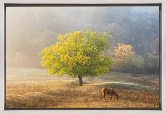 Wall art Tree of Life