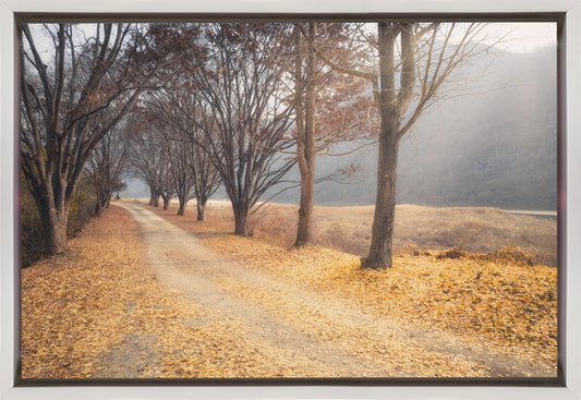 Wall art In the middle of autumn