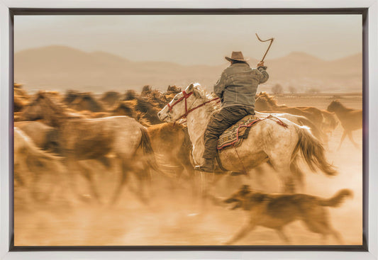 Wall art Wild horses (aka Yılkı Atları)