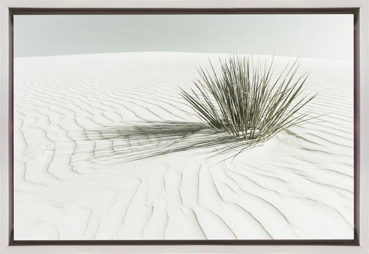 Wall art WHITE SANDS Vintage Dune