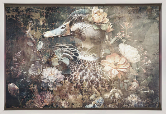 Wall art Duck Animal Vintage Art Illustration Wallart 06