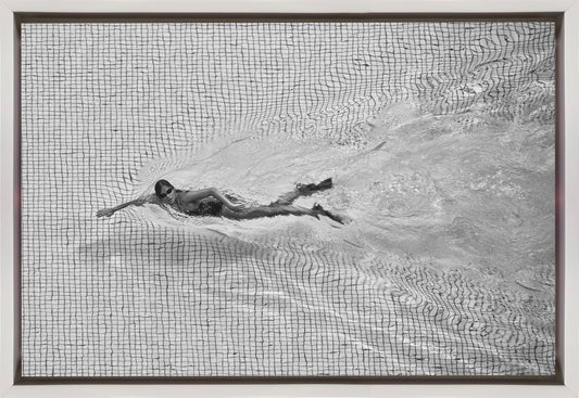 Wall art Breaking the net Canvas Print