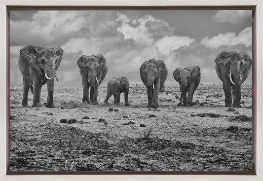 Wall art Big Family. Elephants