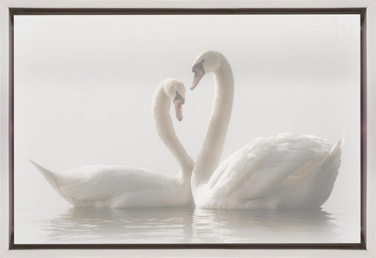 Wall art Forever. Swam