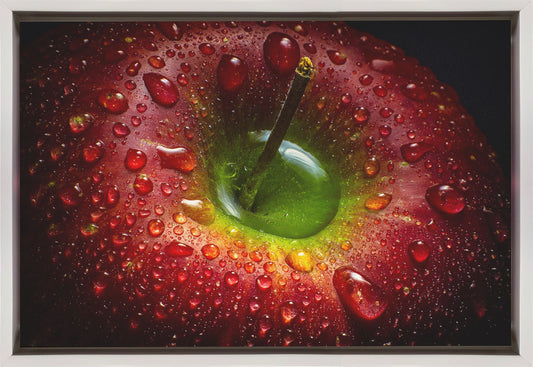 Wall art Red Apple. Food