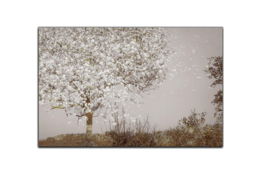 Metal Print Fruit tree