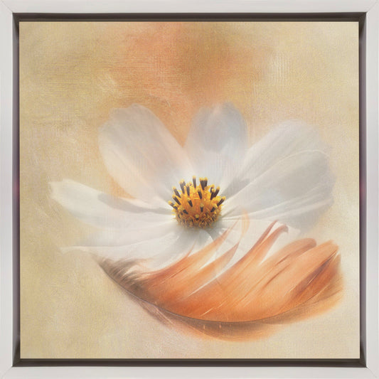 Wall Art Light as a Feather