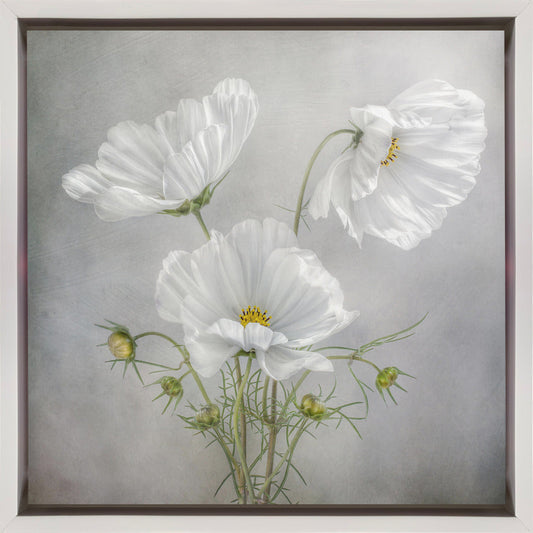 Wall Art Cosmos Charm Irises