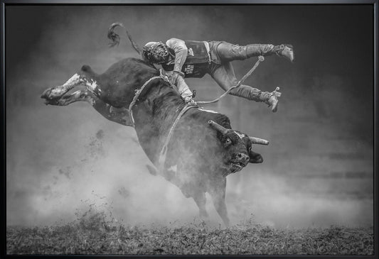 Wall Art Keeping Balance