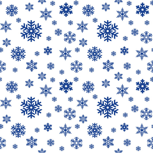 Commemorative Christmas Coin