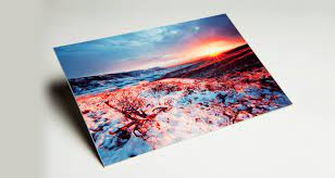 Custom Aluminum Print