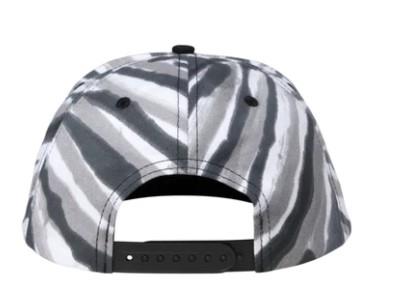 Santa Cruz Classic Snapback - Mens Hat