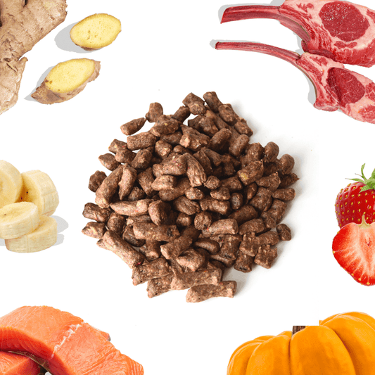 Lamb + Salmon Meal Bites