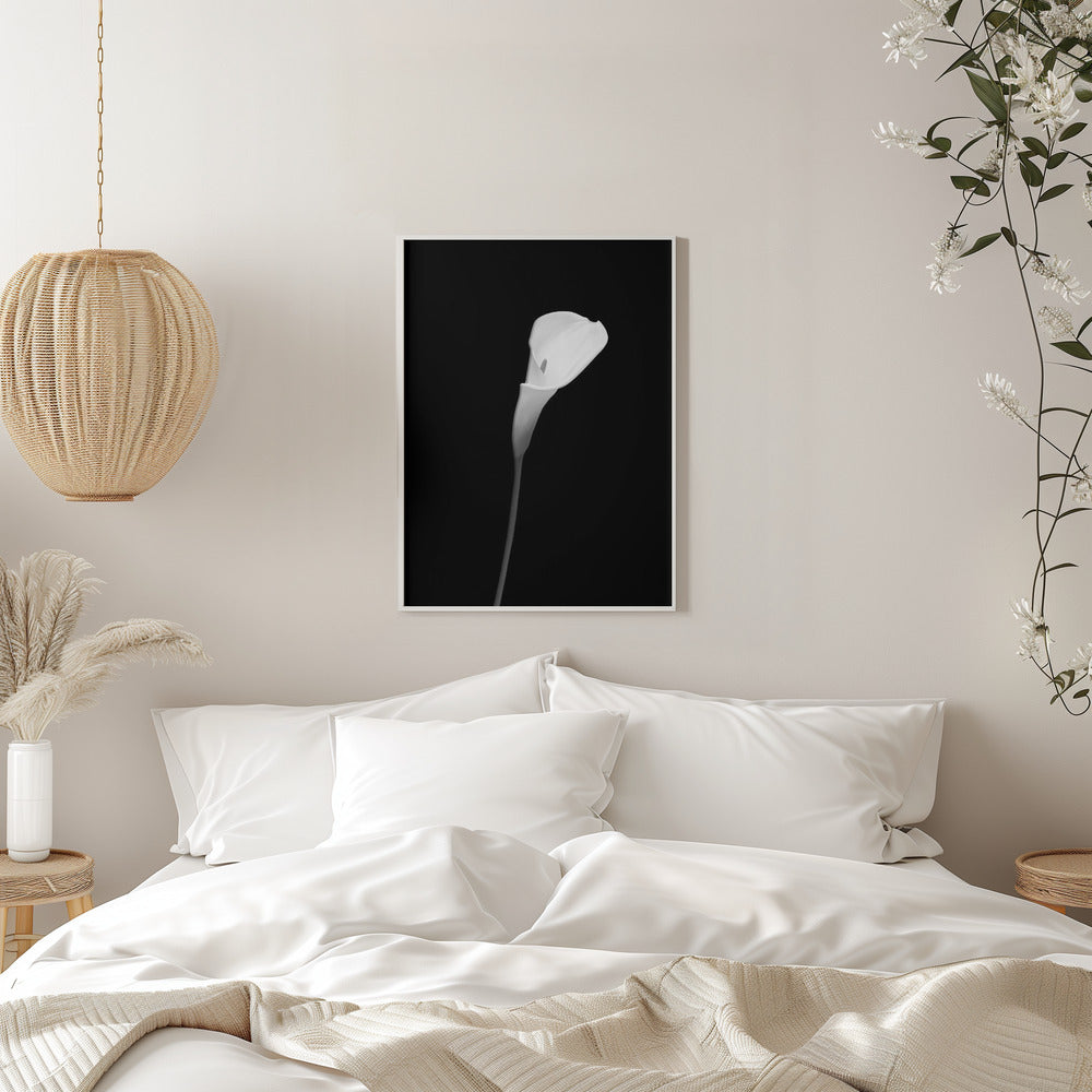Wall art Calla | dark design