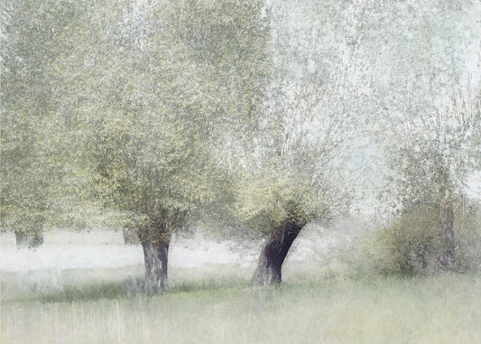 Wall art Young green