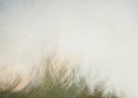 Wall art Moving landscape