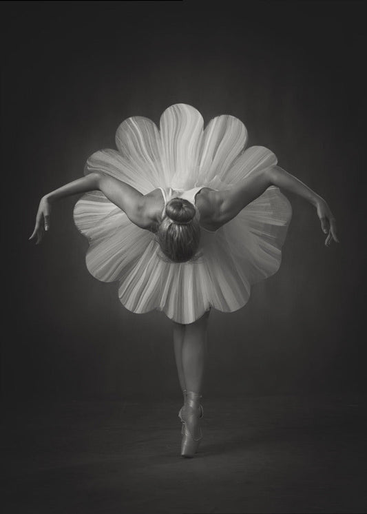 Wall Art Floral Ballet