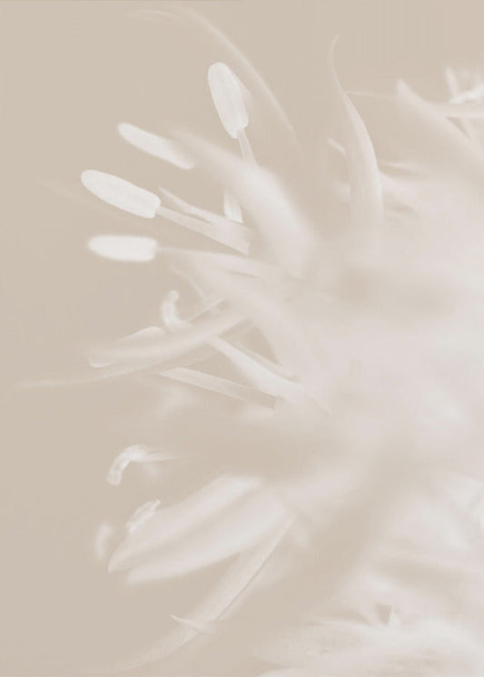 Wall art Flower Beige_1