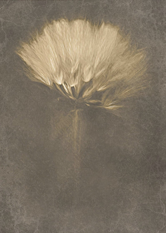 Wall Art Mysterious Days