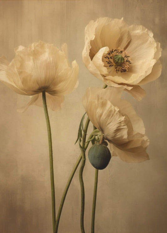 Wall Art Poppies 24