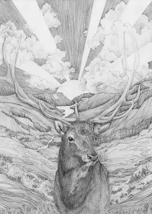 Rise With the Sun Original