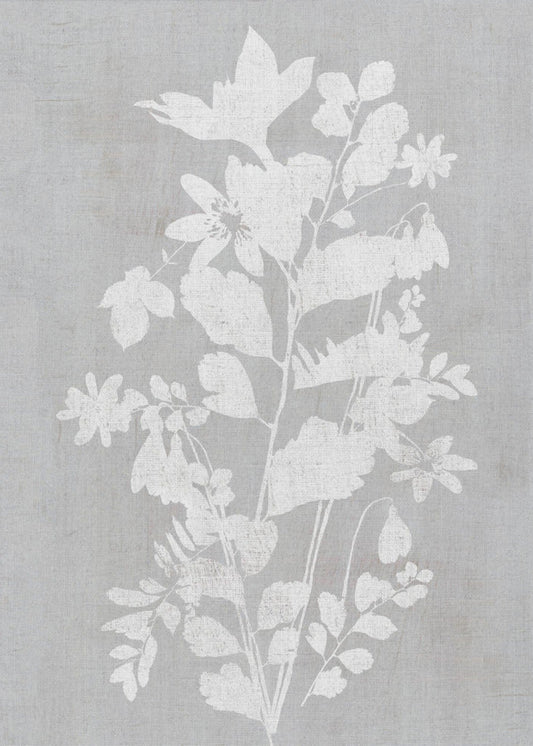 Wall art Botanical Illustration 2