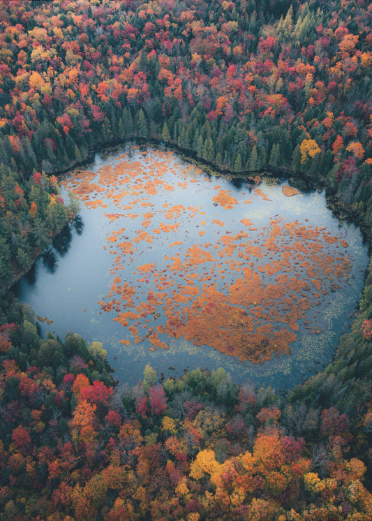 Wall art Autumn at the Lake