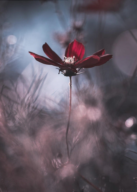 Wall art Tenue de soirée. Floral