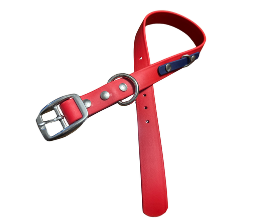 Promo Spéciale sur le Collier standard 1" en Biothane pour Chien – Fait Main au Québec
