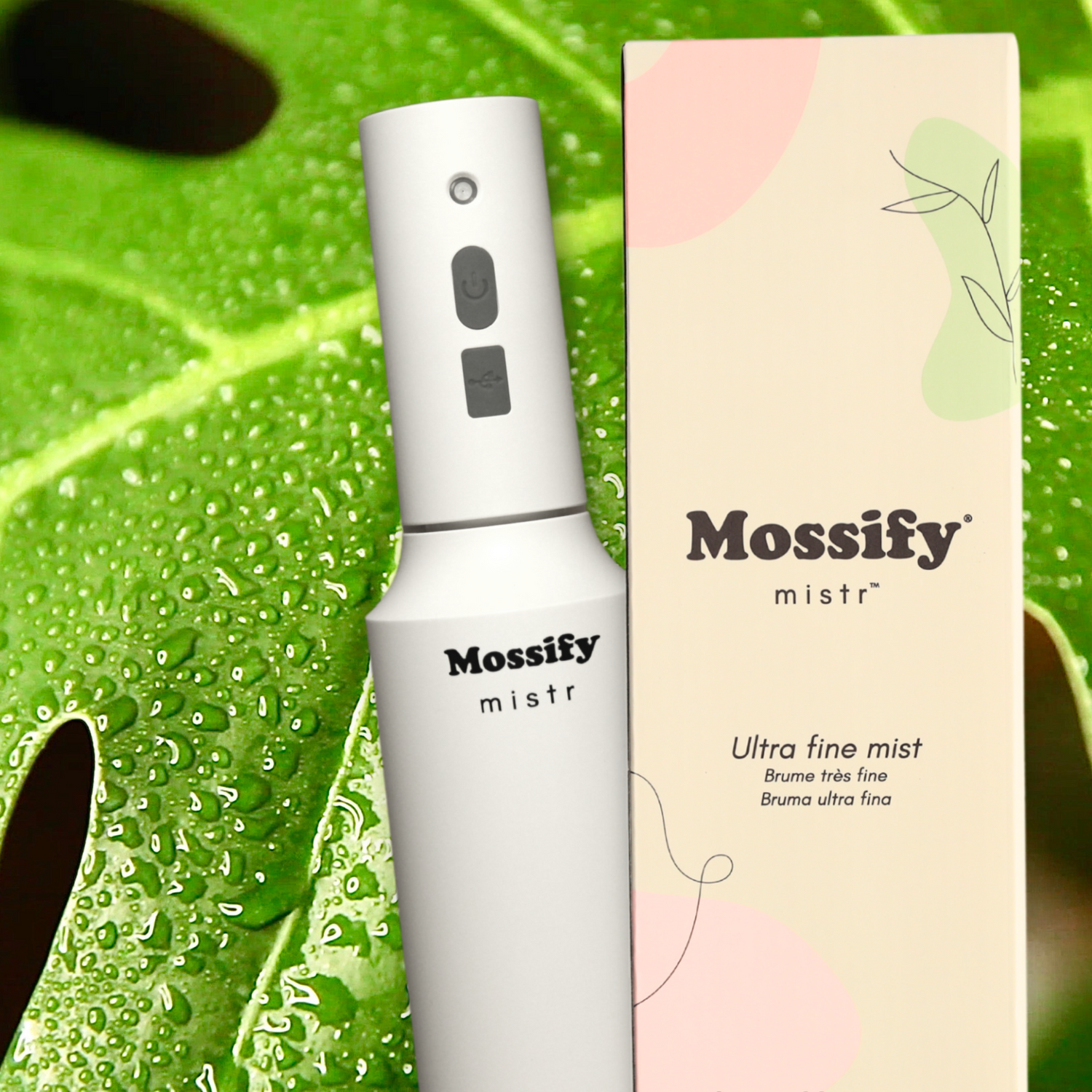 Brand: Mossify