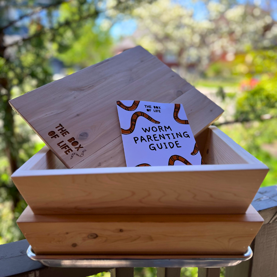 Brand: The Box Of Life