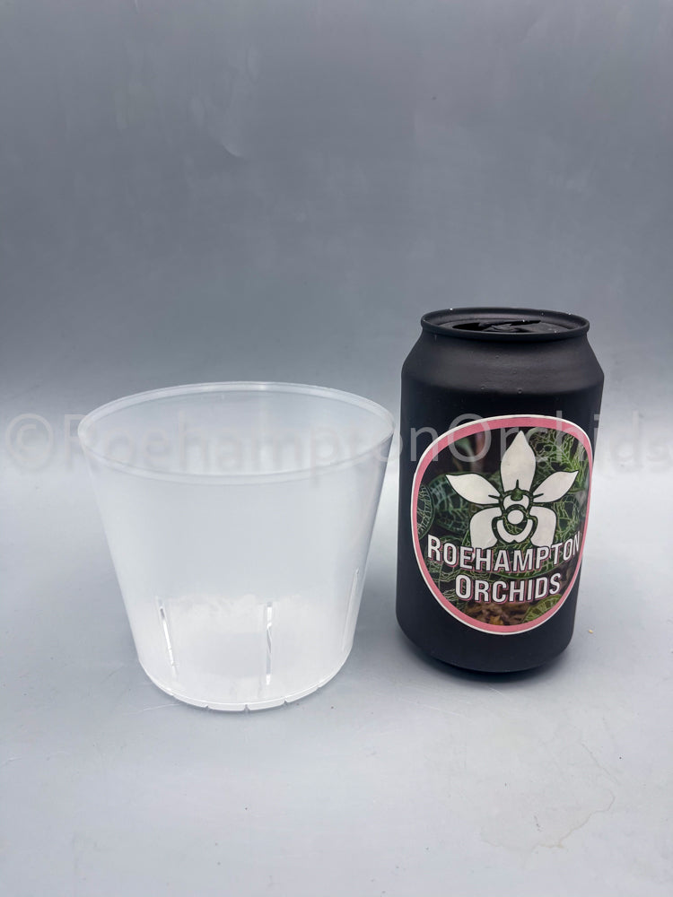 Clear slotted inner pot