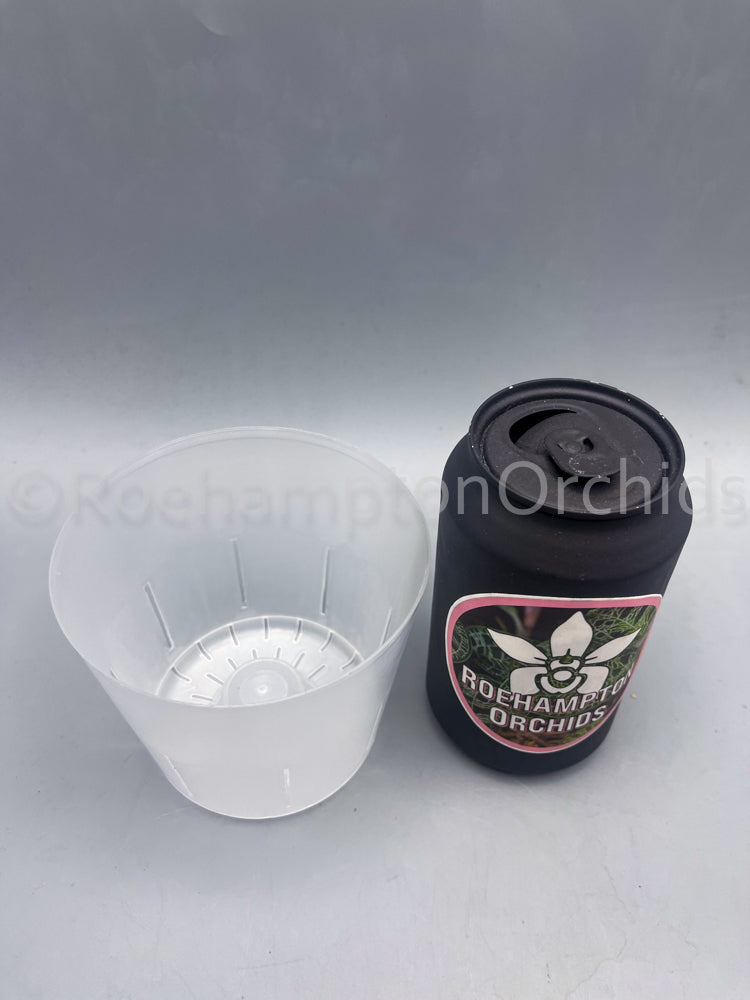 Clear slotted inner pot