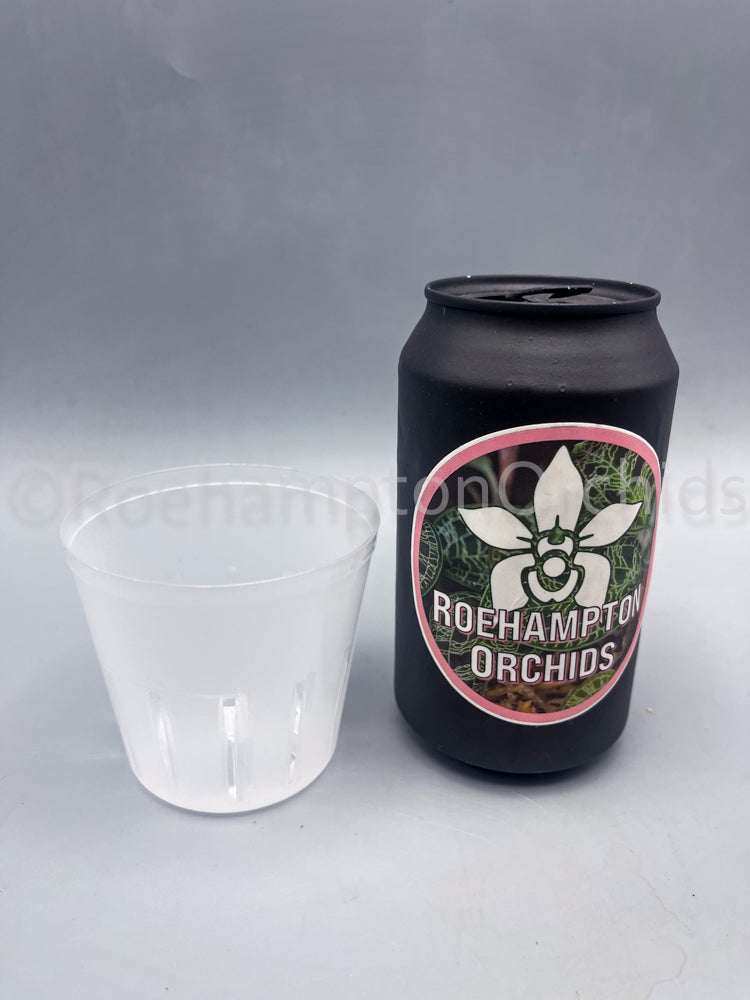 Clear slotted inner pot