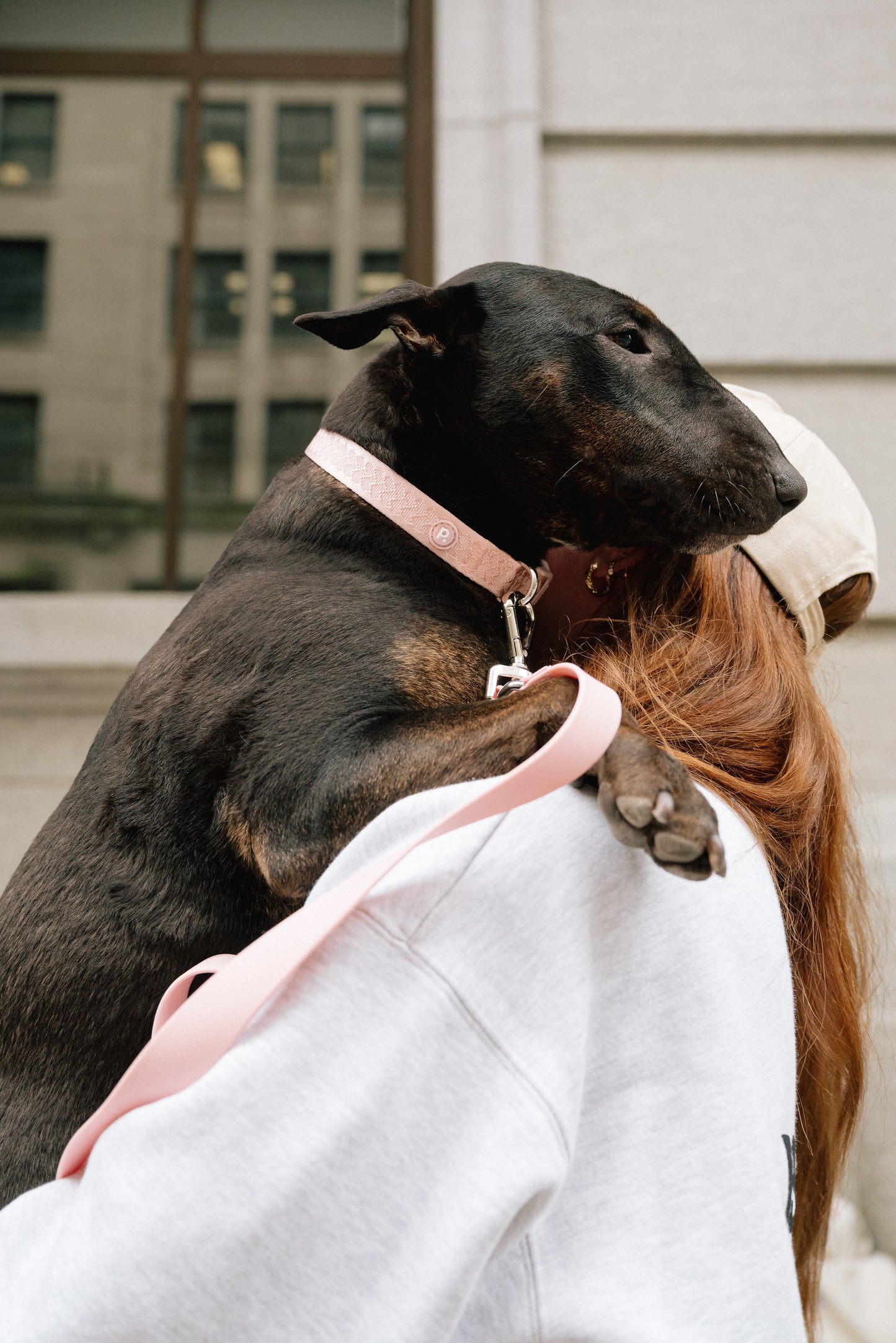 Daily Collar - Lychee
