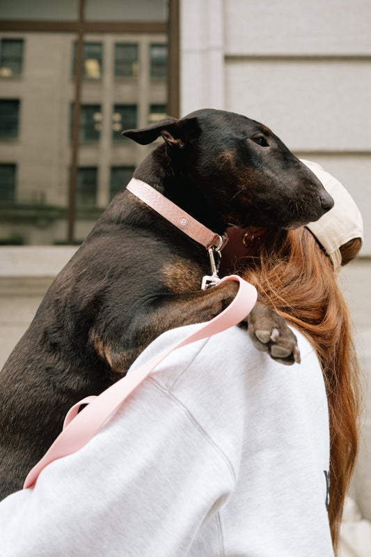 Daily Collar - Lychee
