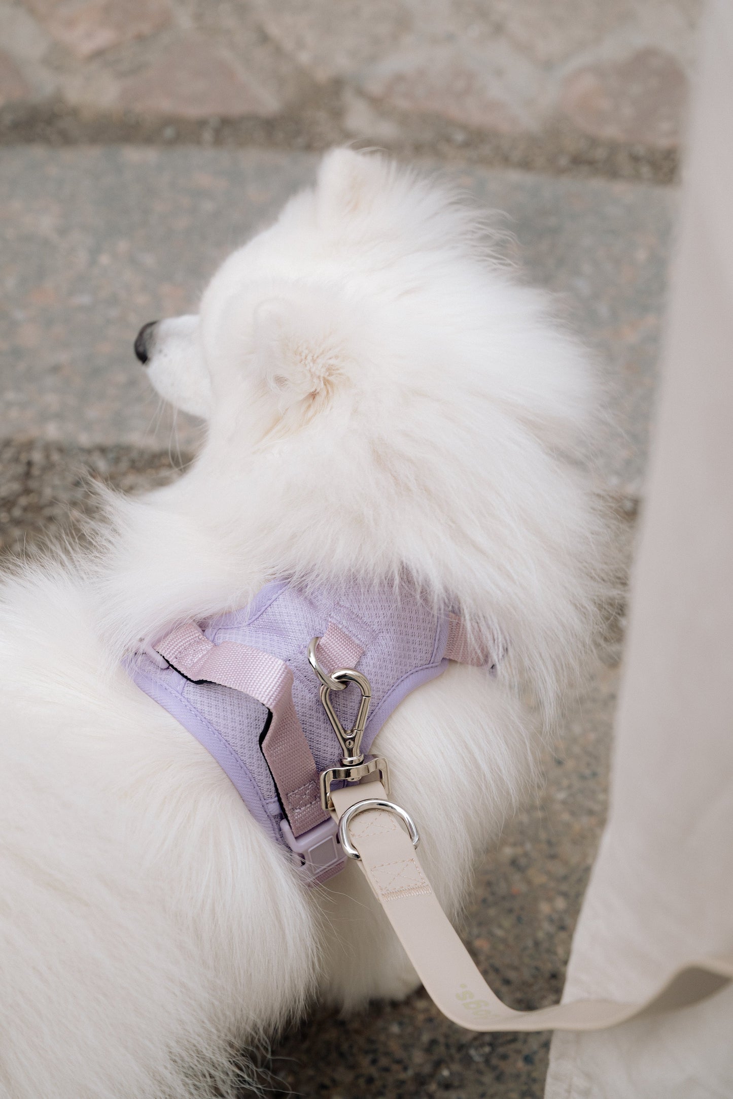 Classic 2.0 Harness Lila