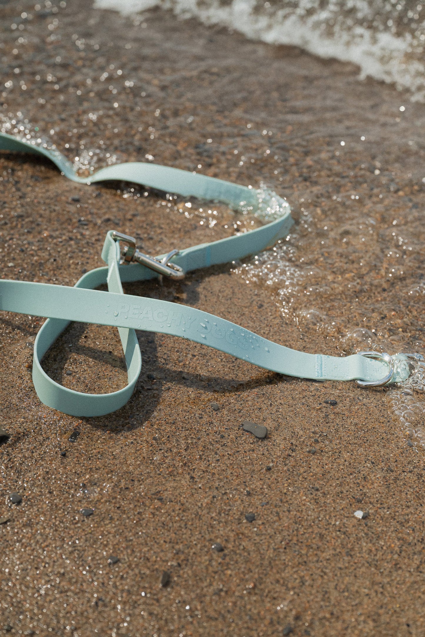 On-the-go Leash in Breeze