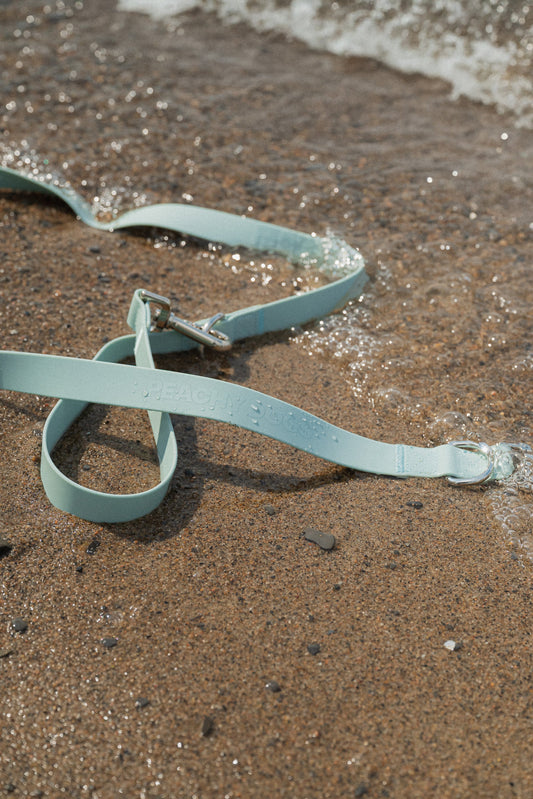 On-the-go Leash in Breeze